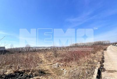 Vanzare I tTerenIntravilan I Suceava/Itcani I 18650 Mp I 89Euro/Mp - 1