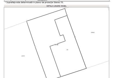 Vila 180 mp desfasurati cartier de case Belvedere Regie - 12