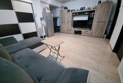 Apartament 2  camere tip studio, mobilat, Drumul fermei - 3