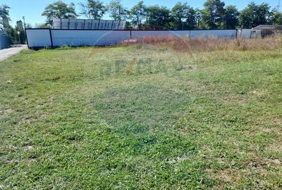 Comision 0! Gradina ta din Brasov 300mp, 514mp sau 1114mp - 9