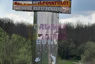 DE VANZARE TEREN 3400 MP IN SAT PODU ILFOVAT / COM BUTURUGENI (GR) - 26