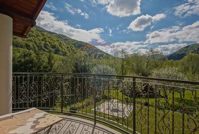 Vilă în zona Glăjărie, 10 camere, Sp + E + M, teren 2789 mp - 27