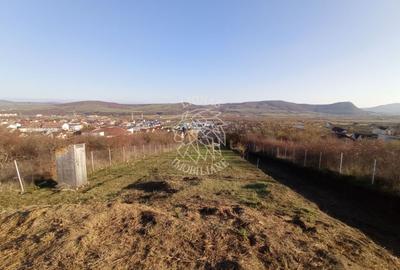 Teren intravilan 2700 mp-ideal case/investitie-Viisoara - 5