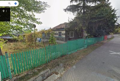 Casa batraneasca cu sura si teren + constructii anexe si teren cu gradina - 2