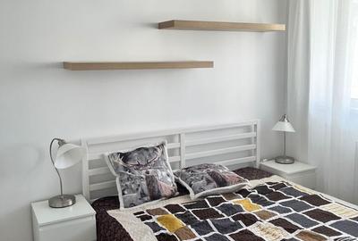 Apartament 2 camere Ion Mihalache - 4