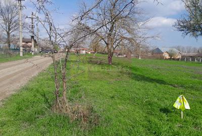 DE VANZARE TEREN 3400 MP IN SAT PODU ILFOVAT / COM BUTURUGENI (GR) - 34