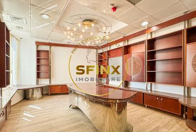 Cladire Birouri Piata Victoriei - Titulescu - 14