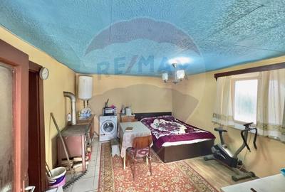 Casa cu 2 camere si teren 4887mp de vanzare in Dabaca - 9
