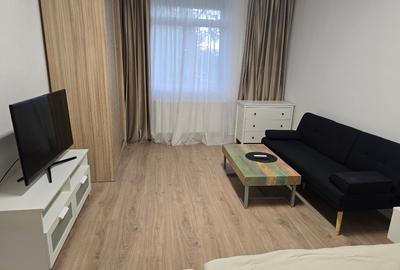 Garsoniera Renovata Complet in Blocurile Rusesti din Vatra Luminoasa, Proprietar - 1