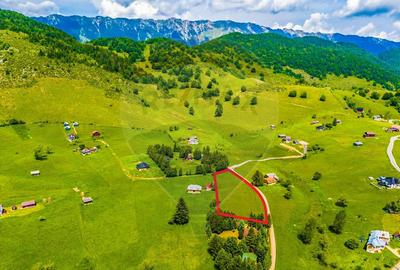 Teren drept intravilan de vanzare, 5.731mp, Sirnea, BRASOV