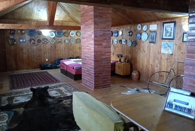 Casa interbelica, renovata total, centrul Perisului, cu vedere la lacul Cocioc - 6