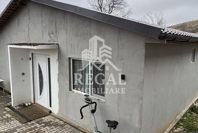 Două case individuale de vânzare în Teliuc –ideale pentru două familii - 18