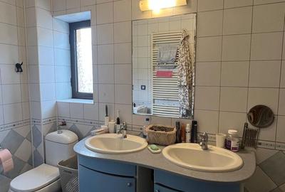 Vila Damaroaia - langa lacul Grivita - 10