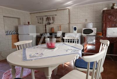 Casa de vanzare cu 2 apartamente separate si teren 544 mp Cisnadioara - 18