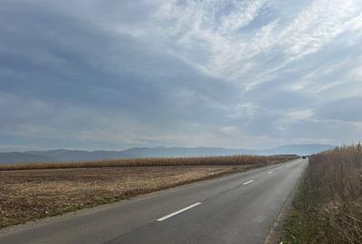 Teren extravilan, Prejmer, front asfalt - 4