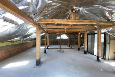 Vila S+P+E+M Herastrau - 3
