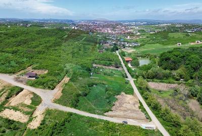 Teren intravilan de vânzare – 4.000 mp, Vișan - 3