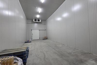 Inchiriere depozit frigorific congelare/hala/spatiu industrial Otopeni - Centura - 26