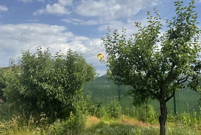 Teren 624mp + Drum - cu Autorizatie Vila cu Garaj Dublu - Otopeni Odaile - 11