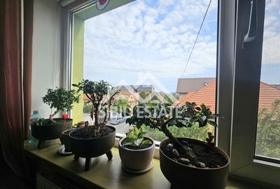 Casa individuala Sibiu central, teren mare - 10