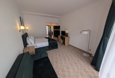Hotel de vânzare, cu teren de 11.000 mp, 26 de camere+10 vila - 2