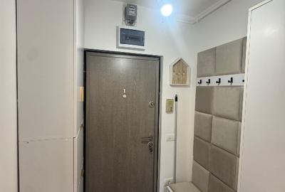 Apartament 2 camere Drumul Taberei, vis-a-vis Parc Moghioroș, direct proprietar - 3