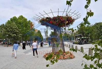 Drumul Taberei Ale.Haiducului Negociabil - 1