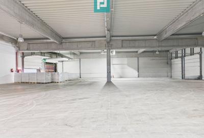 Hală industrială de 4.155 mp Calea Borșului - 16