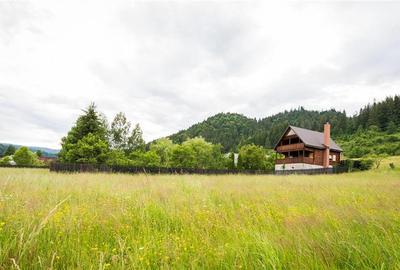 De vanzare casa de vacanta/locuit  in Lunca Bradului - 20