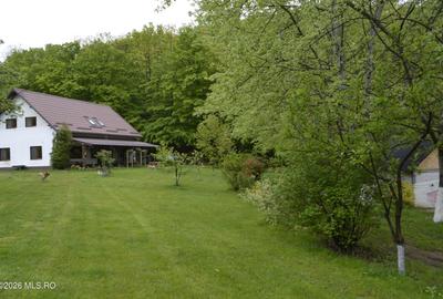 Topoloveni - Casa cu teren 1500 mp langa padure, garaj, anexe - 2