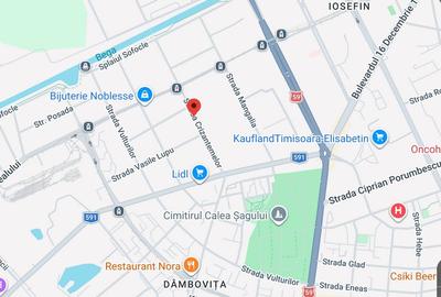 Proprietar vand casa individuala P+E+M,Zona Dambovita/ Iosefin, 170 mp2 utili - 4