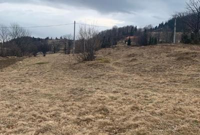 Teren de vanzare in loc. Rogojel, masivul Vladeasa - 1