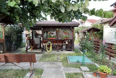 Casa traditionala, 106 mp., Teren 2227, D = 20 m + GARAJ, Clocociov - 7