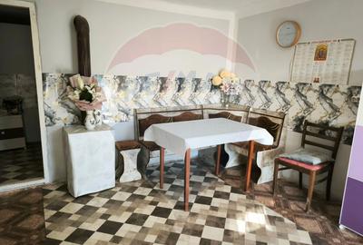 Casă renovată cu teren generos în Satu Mare,Secusigiu - 23
