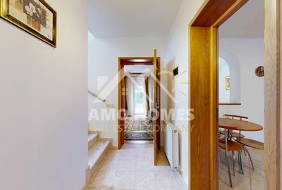 Vila unde diminețile încep cu liniște, nu cu trafic – Iancu Nicolae - 11