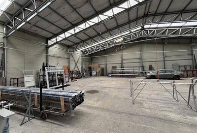 Vanzare depozit/hala/spatiu industrial/showroom/birouri Otopeni - Balotesti - DN - 8