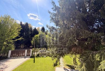Casă de vacanță noua-Valea Avrigului - 27