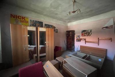 Valisoara, Casa la curte si Teren 3040 Mp, 10 minute de Caransebes - 2