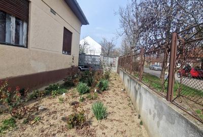 Casa situata in zona Blascovici, pe frumoasa strada Maslinului - 3