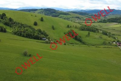 Teren extravilan de vânzare în Barcani, sat Sărămaș! - 2