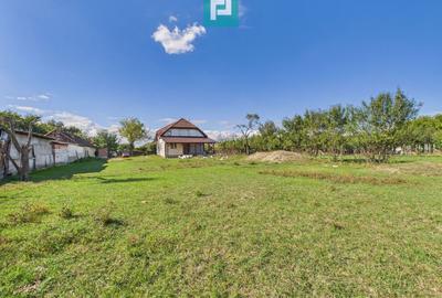 Casă cu panoramă spre dealurile Șiriei - 13