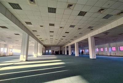 Spatiu show room, 1500 mp , parcare , Calea Lugojului - 4
