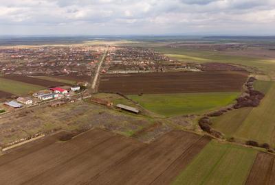 Fermă cu teren intravilan de 35000 mp în Mișca - 5