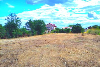 Teren intravilan 1.600 mp Crevedia | Deschidere lac | Ideal dezvoltare - 5
