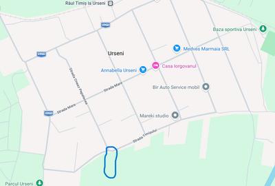 Ocazie, teren intravilan, 5.000 mp (39 euro/mp), Urseni, comision 0% - 4