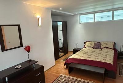 Vila individuala 6 dormitoare Iancu Nicolae/Serban Cantacuzino - 26