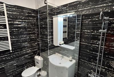 Regie Residence Inchiriere AP 2 Camere Lux ,Grozavesti ,The Bridge Business Park - 18