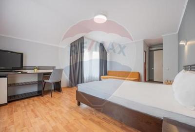 Casă / Vilă cu 16 camere de vânzare Sanmartin/Stefan cel Mare - 14