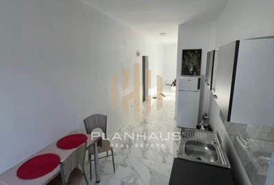 De vânzare apartament 1 cameră ,Lămâiței - 4