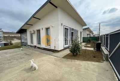 Casa Visan PROFI non stop - 3 camere - 500mp curte - mobilata - 10